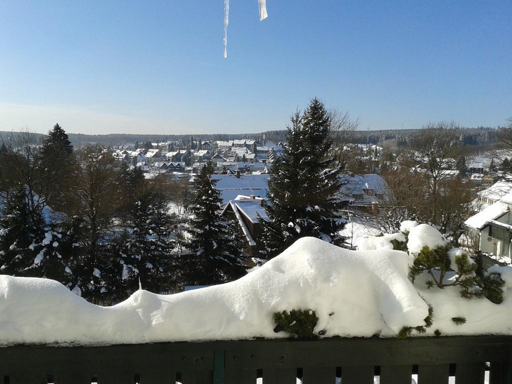Maisonette Apartment Am Kurpark Braunlage Exterior photo